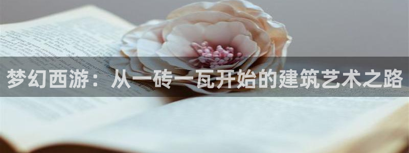 威九国际软件公司简介：梦幻西游：从一砖一瓦开始的建筑艺术之路