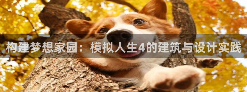 威九国际免费版：构建梦想家园：模拟人生4的建筑与设计实践