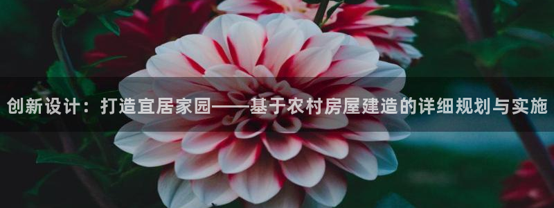威九国际坑人的嘛：创新设计：打造宜居家园——基于农村房屋建造的详细规划与实施