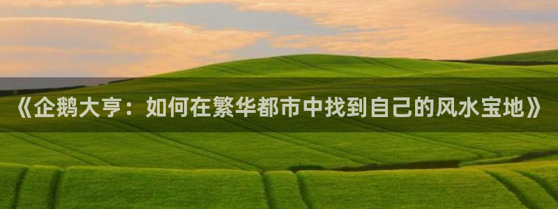 威九国际精忐：《企鹅大亨：如何在繁华都市中找到自己的风水宝地》