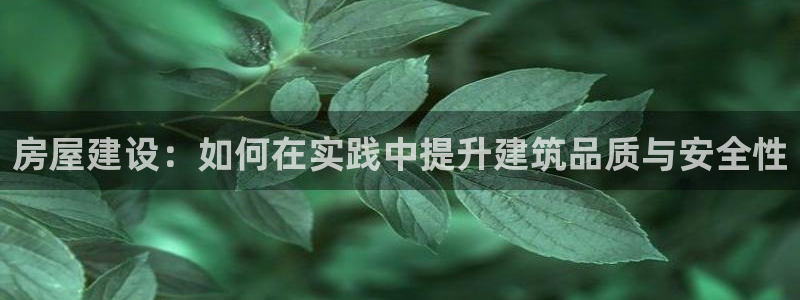 威九国际v96bet官网版：房屋建设：如何在实践中提升建筑品质与安全性
