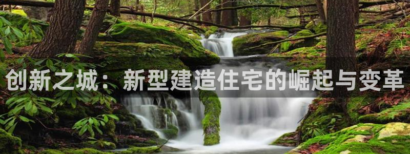 威九国际app网站官网：创新之城：新型建造住宅的崛起与变革