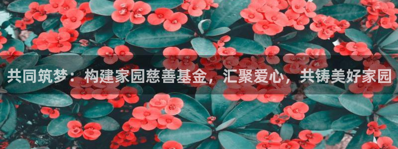 威九国际免费进入：共同筑梦：构建家园慈善基金，汇聚爱心，共铸美好家园