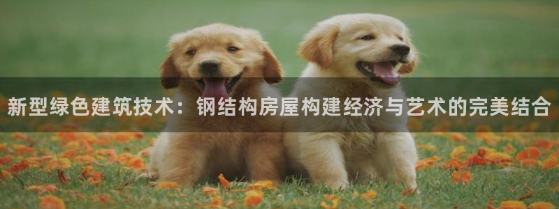 威九国际FF：新型绿色建筑技术：钢结构房屋构建经济与艺术的完美结合