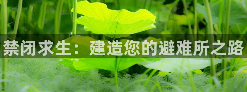 威九国际精甜心诗词网彩片甜心网甜心诗词网：禁闭求生：建造您的避难所之路